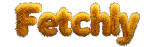 Fetchly